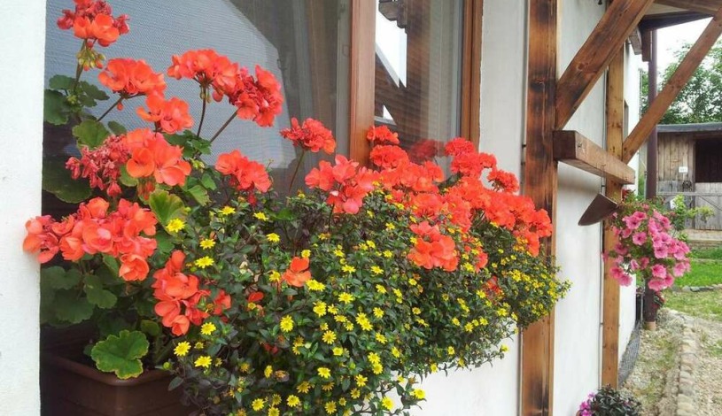 Penzion PIANO RANCH Mladá Boleslav